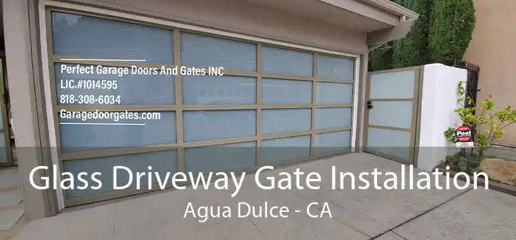 Glass Driveway Gate Installation Agua Dulce - CA