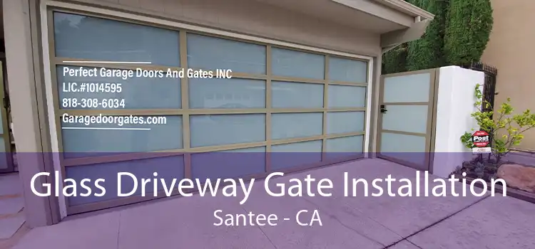 Glass Driveway Gate Installation Santee - CA