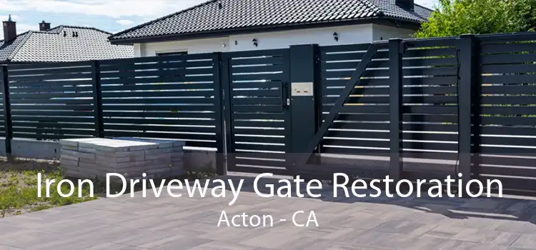 Iron Driveway Gate Restoration Acton - CA