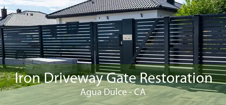 Iron Driveway Gate Restoration Agua Dulce - CA