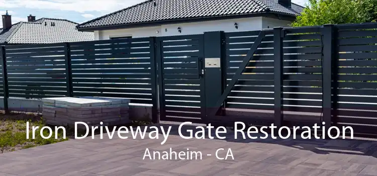 Iron Driveway Gate Restoration Anaheim - CA