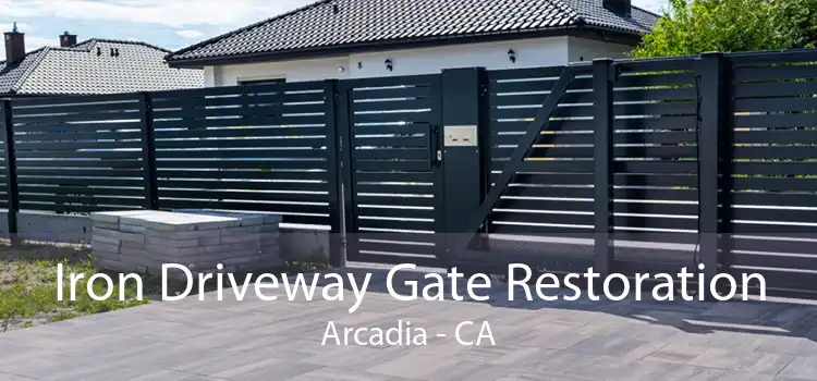 Iron Driveway Gate Restoration Arcadia - CA