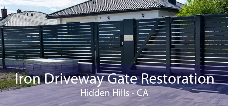 Iron Driveway Gate Restoration Hidden Hills - CA