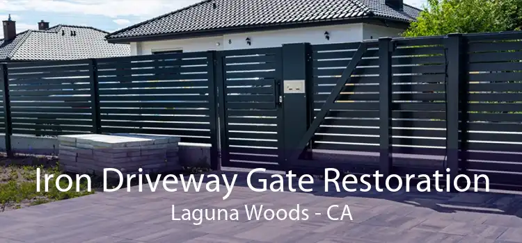 Iron Driveway Gate Restoration Laguna Woods - CA