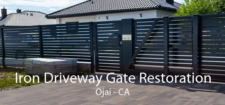 Iron Driveway Gate Restoration Ojai - CA