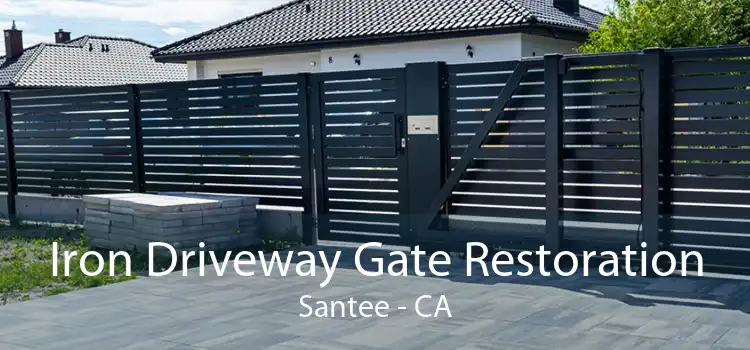 Iron Driveway Gate Restoration Santee - CA