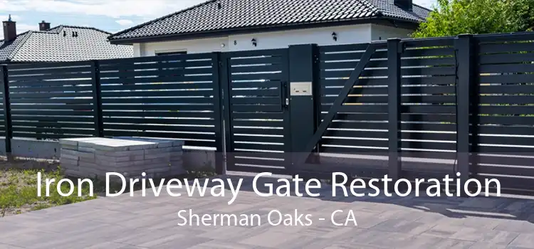 Iron Driveway Gate Restoration Sherman Oaks - CA