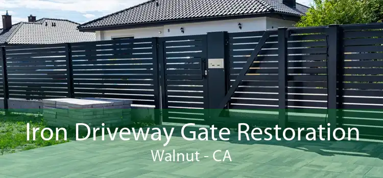 Iron Driveway Gate Restoration Walnut - CA