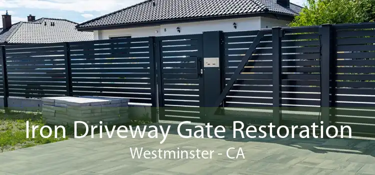 Iron Driveway Gate Restoration Westminster - CA